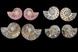 Lot: - Cut Ammonite Pairs (Grade B/C) - Pairs #81275-2